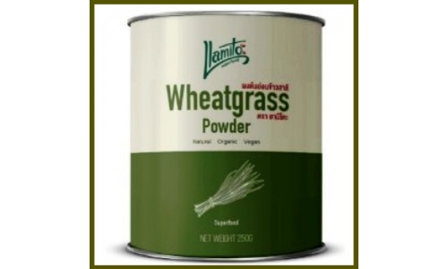Вэйтграс (Пшеничная трава) в порошке 250 грамм Lamito Organic Wheat Grass Powder