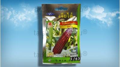 Семена фиолетовой восковой кукурузы